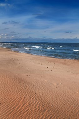 Baltık Denizi beach