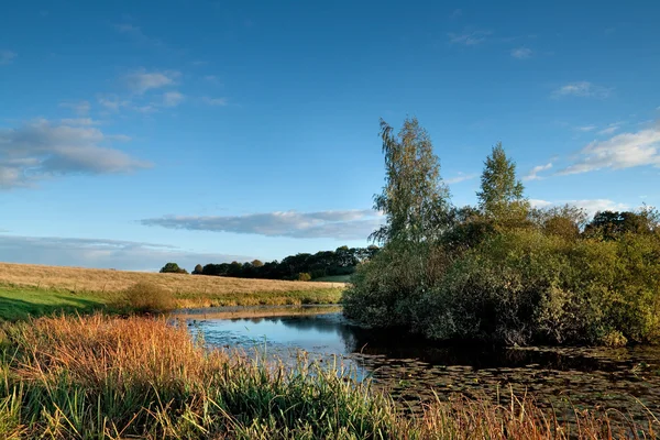 stock image Summer landscape