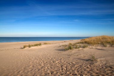 Baltic sea beach clipart