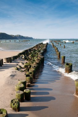 Baltık seaside