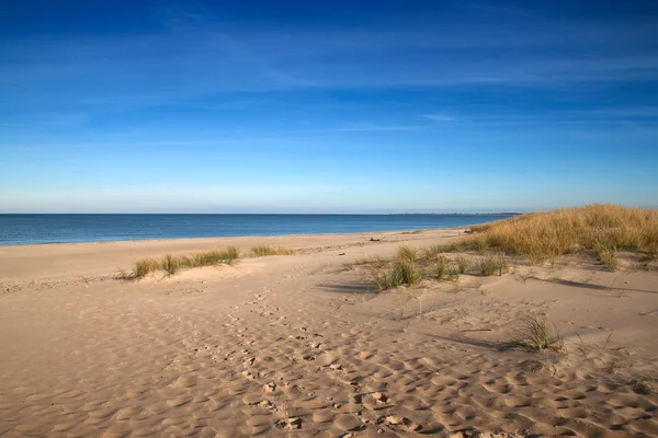 Baltic sea beach — Stock Photo, Image