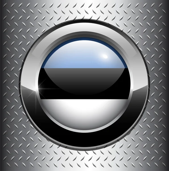 Estonia flag button — Stock Vector