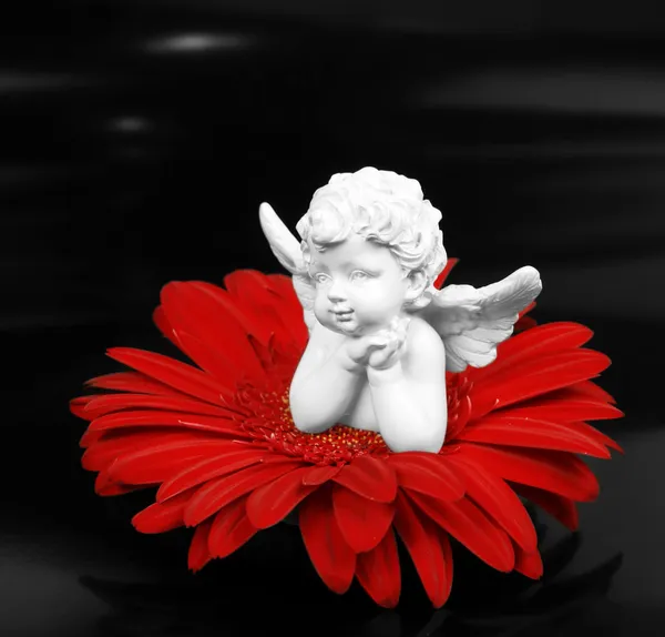 Άγγελος και ένα λουλούδι — Φωτογραφία Αρχείου