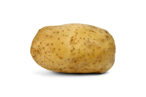 stock image Potato