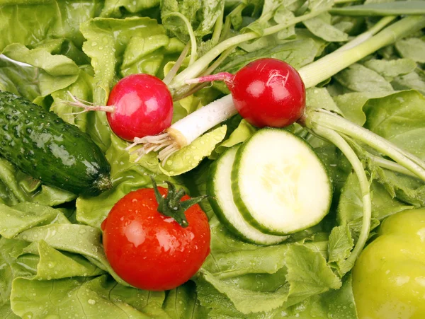 Čerstvý Zdravý Salát Ingredience — Stock fotografie