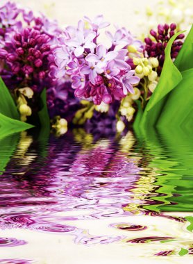 Lilac in the water clipart