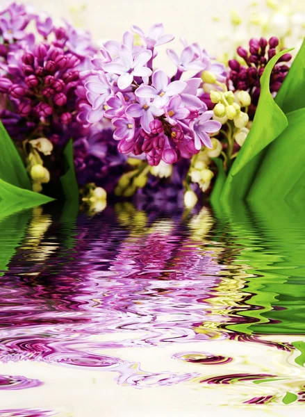 Lilac in the water — Stock Photo, Image