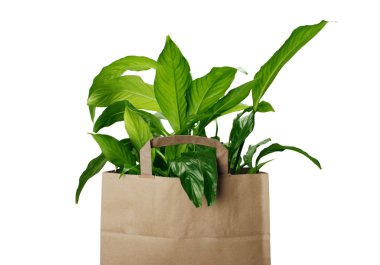 Eco bag clipart