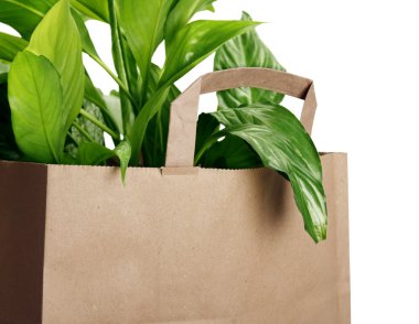 Eco bag clipart