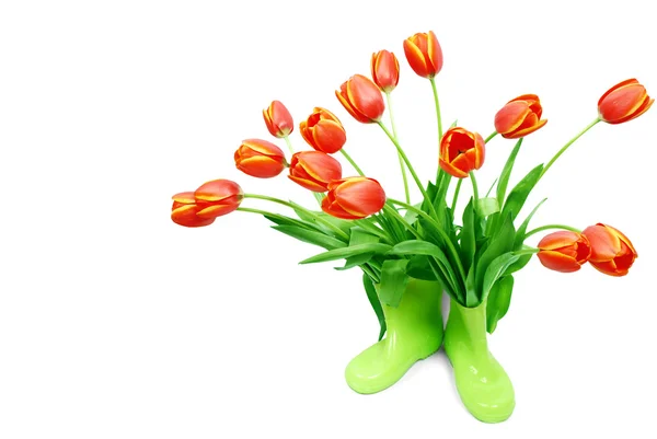 Fresh tulips in green boots — Stock Photo, Image