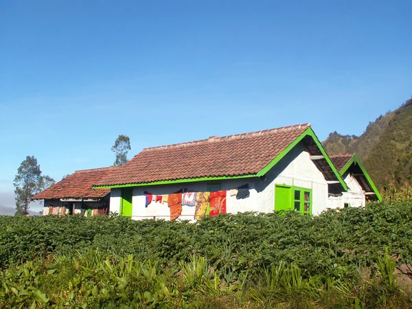 Weiß Gestrichene Hütten Auf Java Indonesien — Stockfoto