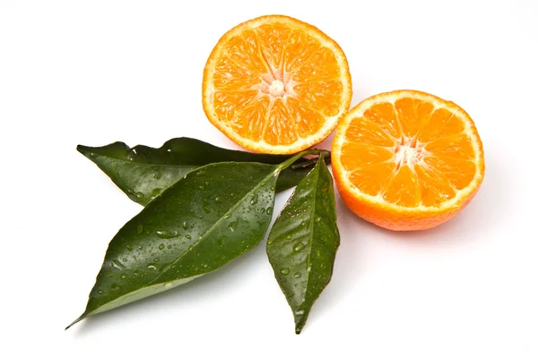 Mandarin Beyaz Arkaplanda Izole Edildi — Stok fotoğraf
