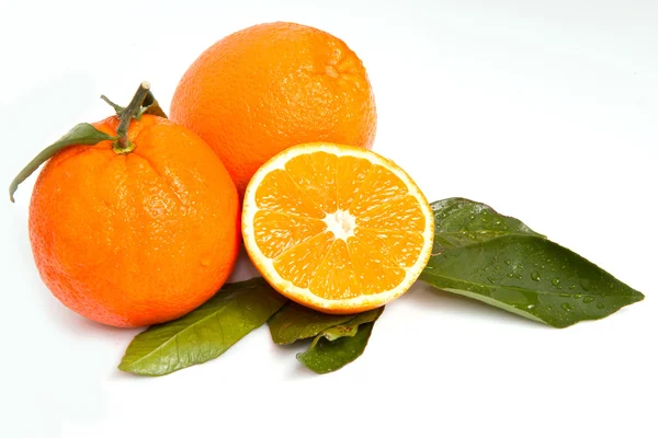 Orange Isolated White Background — Stock Photo, Image