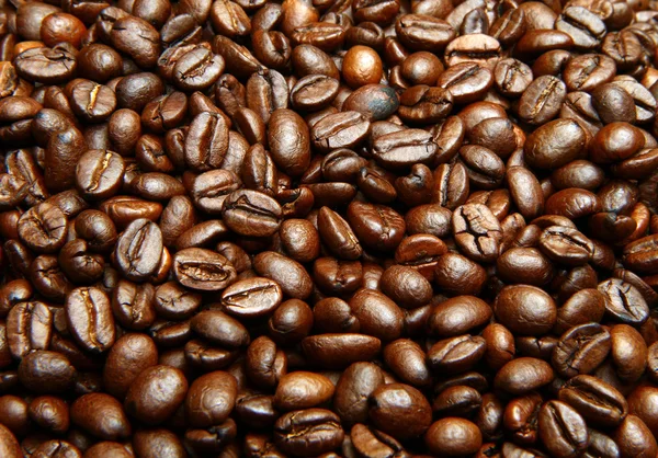 Кава Зернах — стокове фото