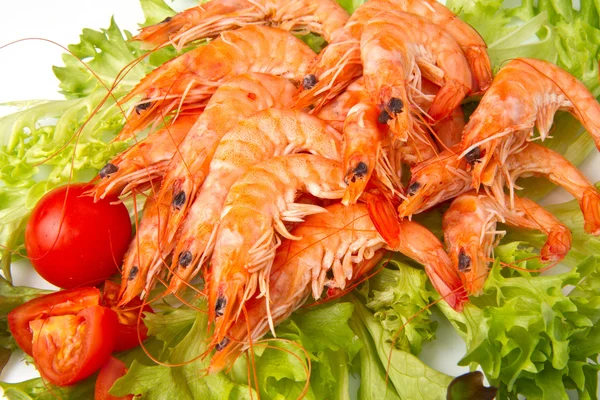 Shrimp and salad — Stock Photo, Image