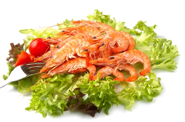 Shrimp and salad — Stock Photo, Image