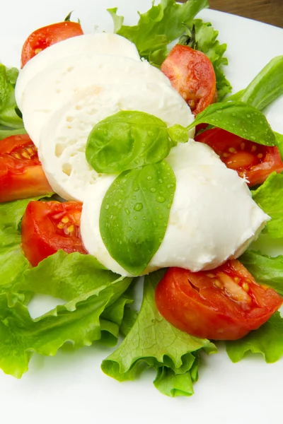Mozzarella mit Tomaten und Basilikum — Stockfoto
