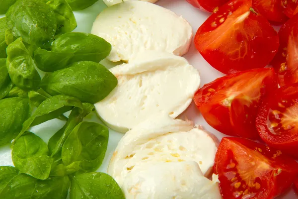 Mozzarella with tomtoes and basil — Stock Photo, Image