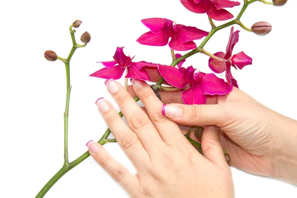 Orchidea nő kézzel — Stock Fotó