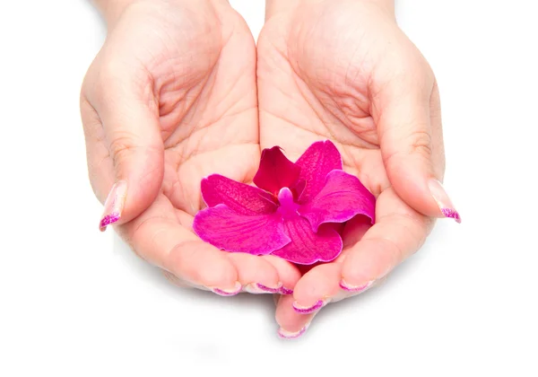Orchidée avec la main de femme — Photo