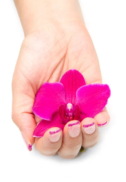 Orchid met vrouw hand — Stockfoto