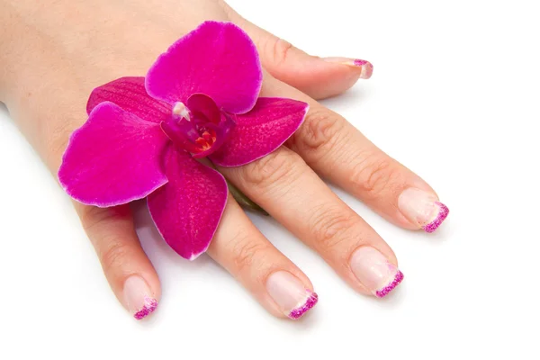 Orchid met vrouw hand — Stockfoto