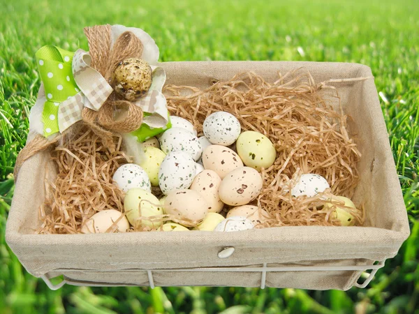 Barna tojás egy kosárban — Stock Fotó
