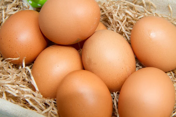 籠の中の茶色の卵 — ストック写真