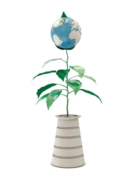 Pflanze Und Modell Der Erde Isoliert Auf Weißem Hintergrund — Stockfoto