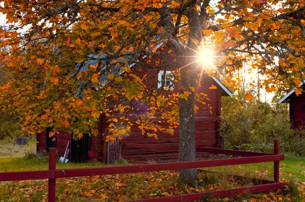 スウェーデンの秋 — ストック写真