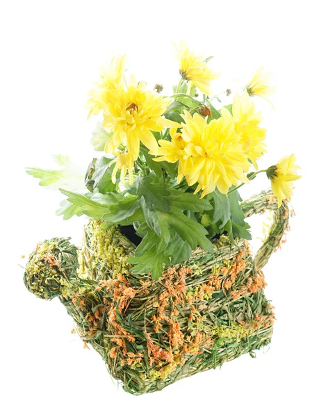 Blumentopf mit Blumen — Stockfoto