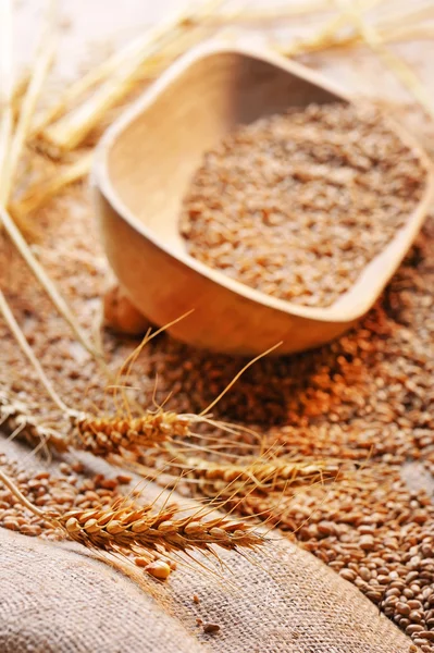 Sementes de trigo em material bruto — Fotografia de Stock
