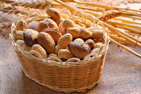 Surtido de frutos secos — Foto de Stock