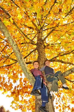 Kids climbed on tree clipart