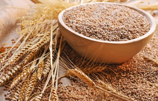 Насіння пшениці на грубому матеріалі — стокове фото
