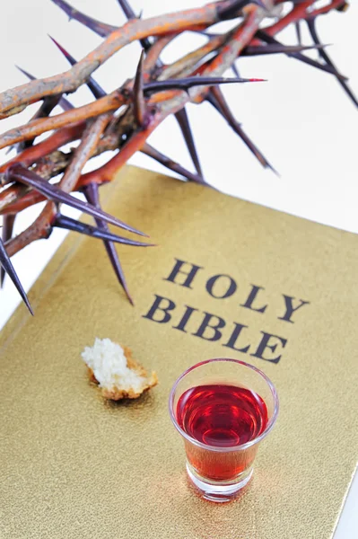 Coroa de espinhos em uma bíblia — Fotografia de Stock