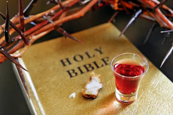Kroon van doornen op een bijbel — Stockfoto