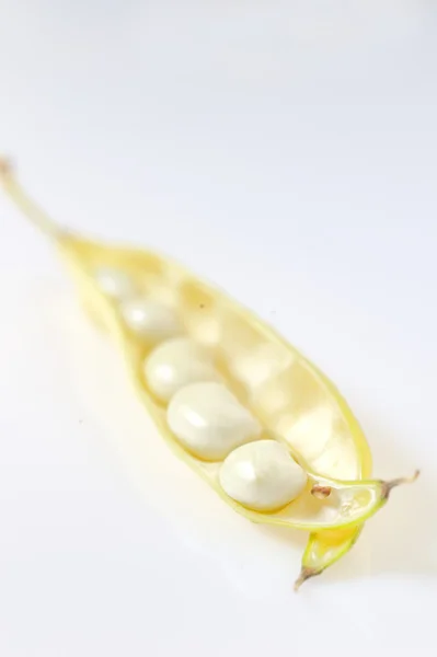 Beans in Pod — Stock Photo, Image