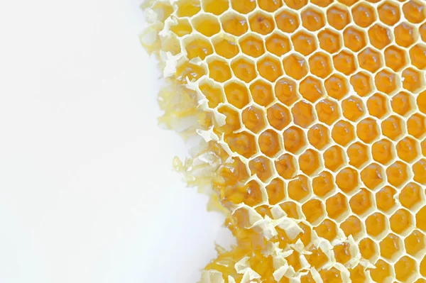 Peigne en nid d'abeille isolé sur blanc — Photo