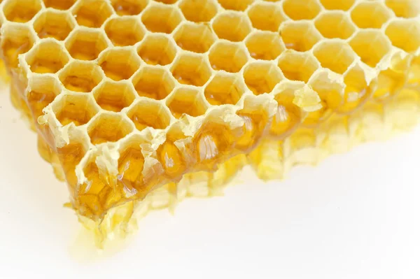 Honeycomb isolerad på vit Stockbild