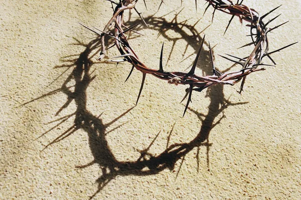 Crown of Thorns — Stock Photo, Image