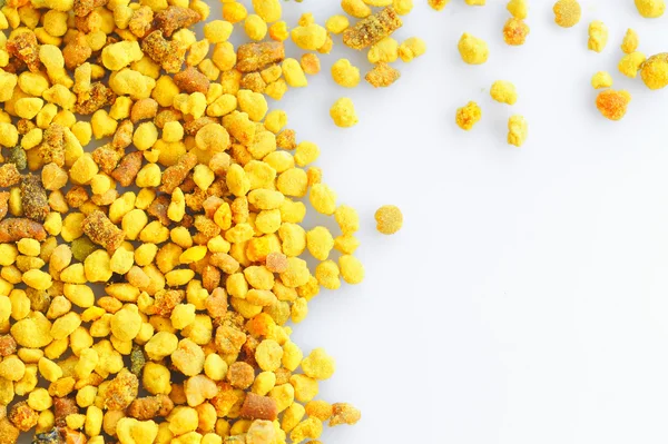Macro Pollen — Stock Photo, Image