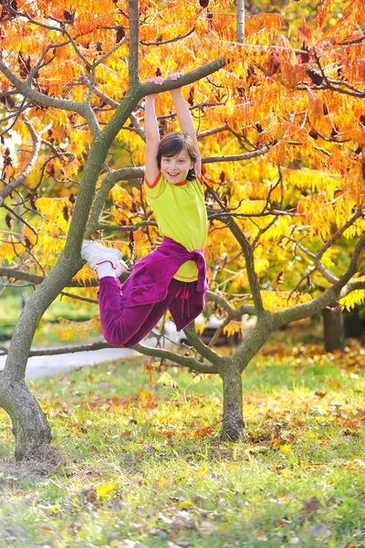 Κοριτσάκι, ανέβηκε σε δέντρο — Φωτογραφία Αρχείου