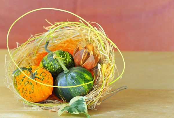 Pumpkins decoration — Stock Photo, Image