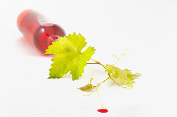 Sklizeň vína izolované na bílém — Stock fotografie