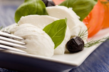 domates mozzarella salatası