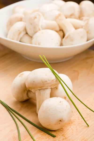 Cogumelos - champinhons — Fotografia de Stock