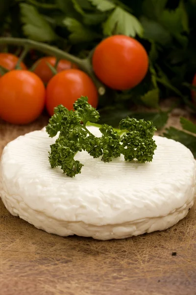 리 코타 치즈 — 스톡 사진