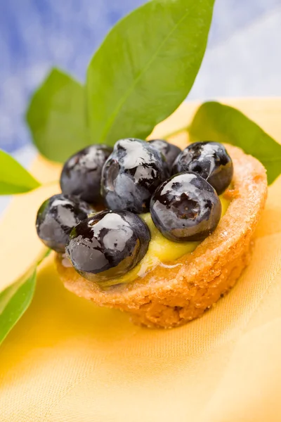 Bakverk med blåbär — Stockfoto