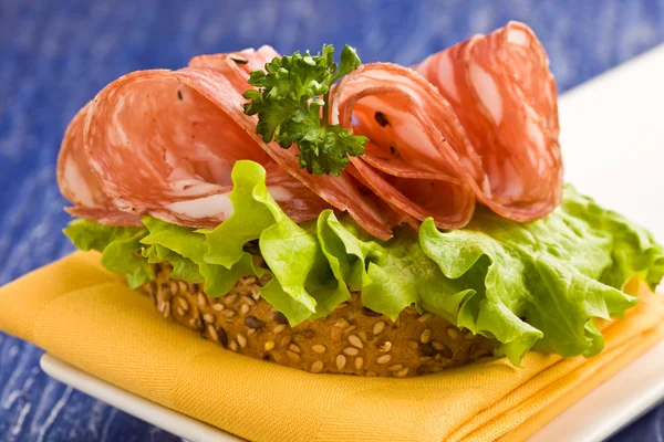 Sandwich mit Salami und Salat — Stockfoto